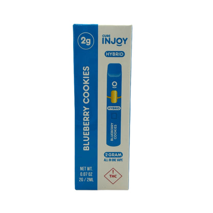 INJOY 2 GRAM DISPOSABLE